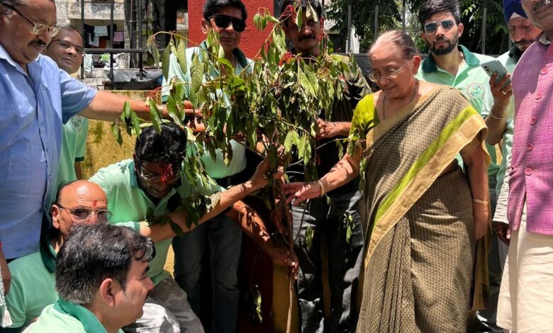 क्लीन एंड ग्रीन एनवायरनमेंट समिति ने चलाया वृहद स्तर पर वृक्षारोपण अभियान क्लीन एंड ग्रीन एनवायरनमेंट समिति ने चलाया वृहद स्तर पर वृक्षारोपण अभियान