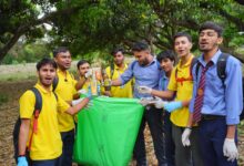मातावाला बाग में सूचना बोर्ड लगाने का उद्देश्य कि पेड़ सुरक्षित हैं