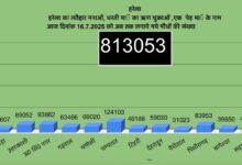 उत्तराखंड में हरेला पर्व बना हरित क्रांति का उत्सव, 8 लाख 13 हजार से अधिक पौधे रोपे गए
