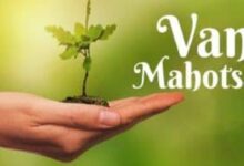 वन महोत्सव 2025: चंडीगढ़ के लेक क्लब में पौध मेला शुरू